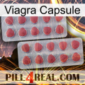 Viagra Capsule 19